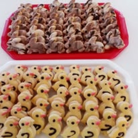 484807652_9047744315347898_8485584367799548639_n