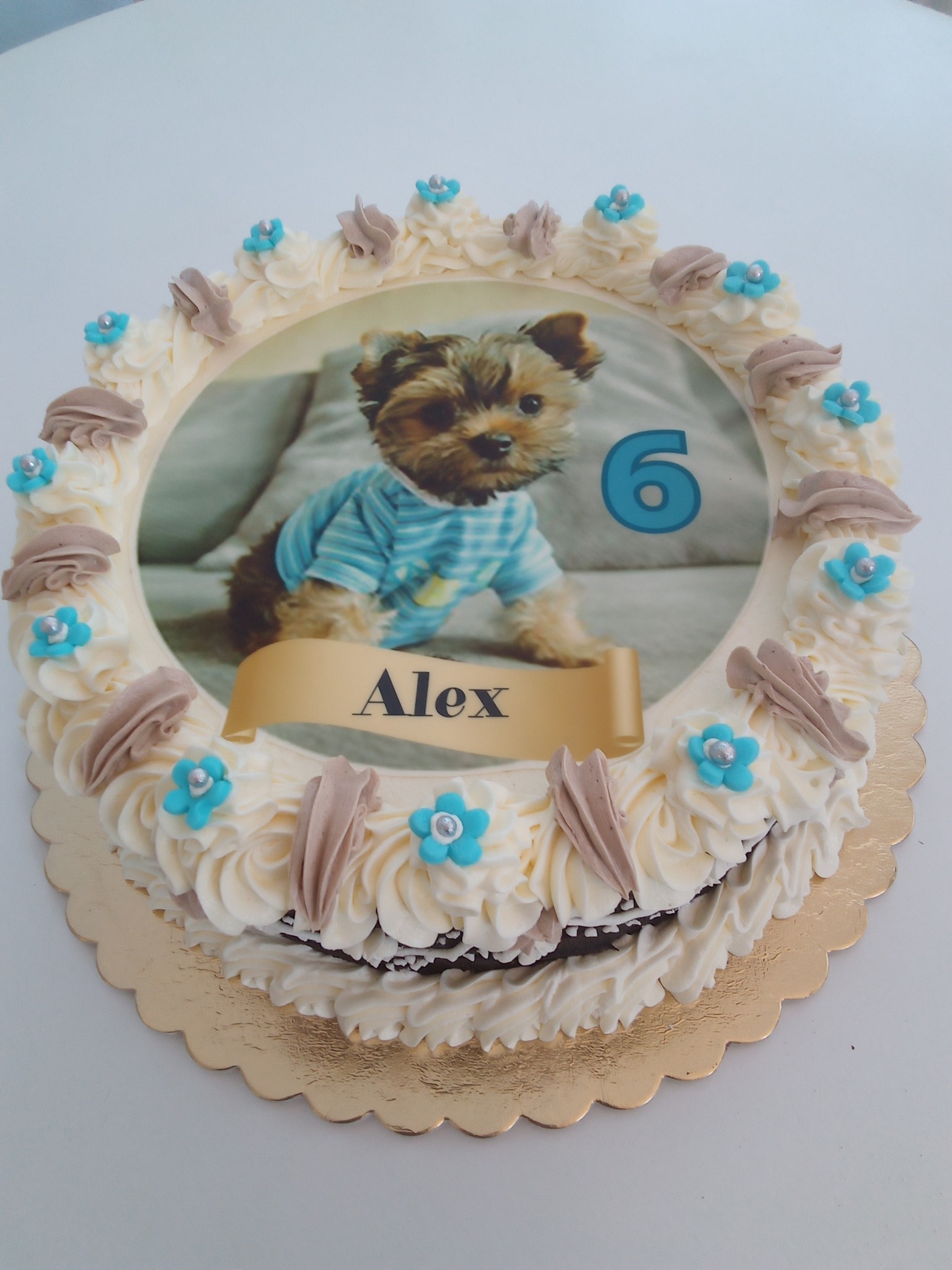 543417188_24074940005535083_6038567538733221284_n