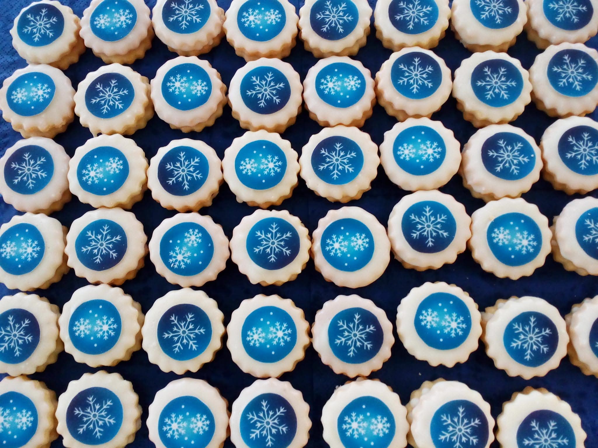 560968667_24338469989182082_4854585982607532661_n