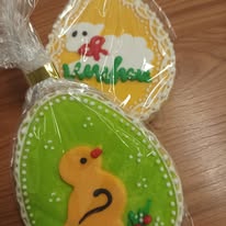 512674257_9764431377012518_3193034571856494124_n