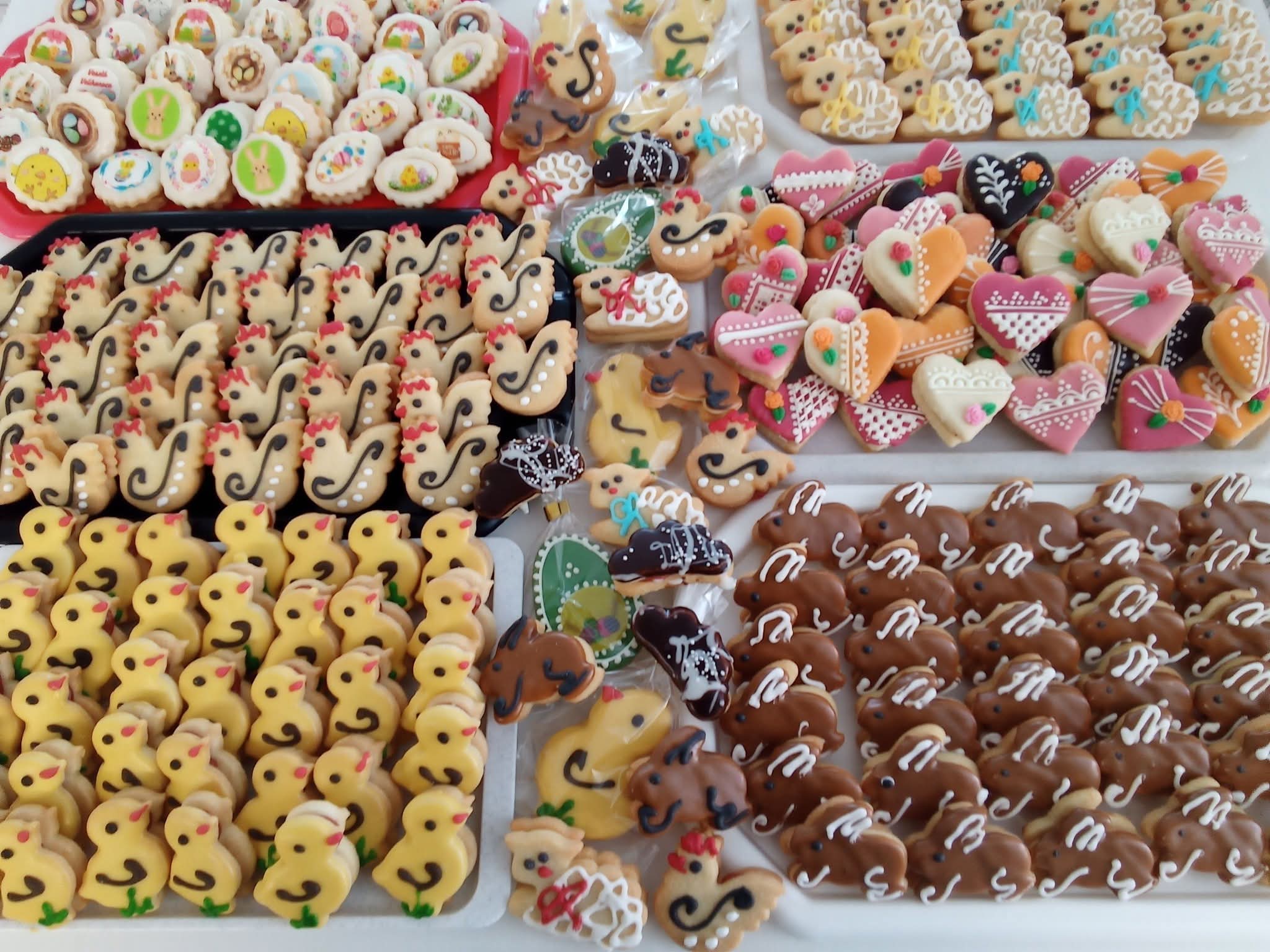 FB_IMG_1774435890399